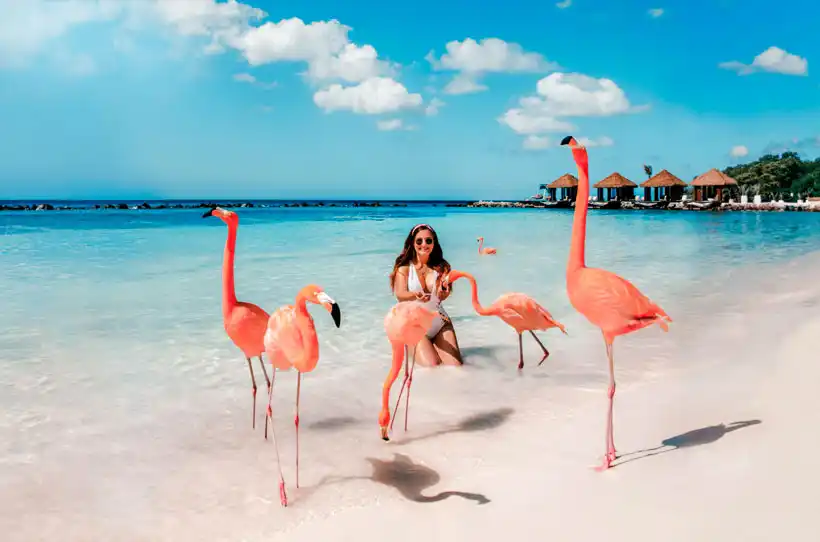 viajaya aruba caribe