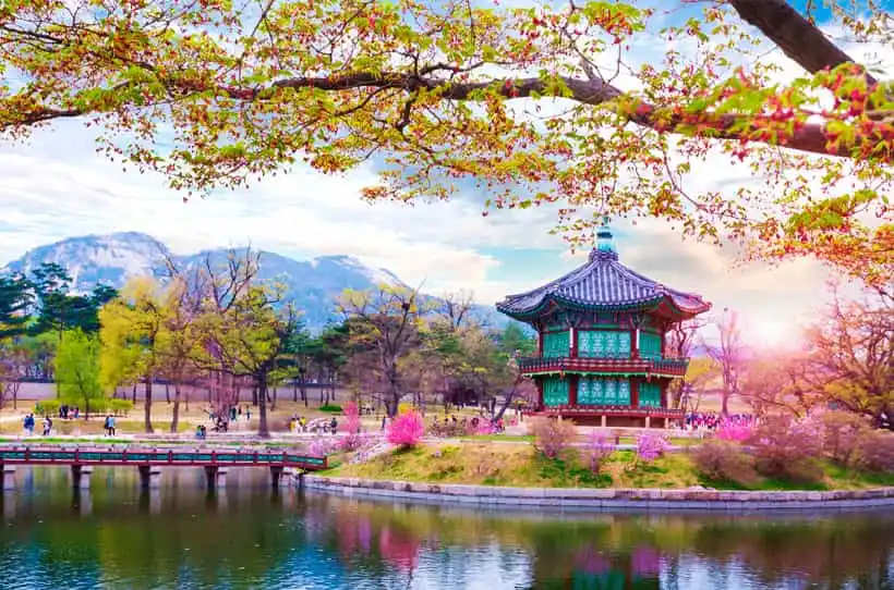 viajaya corea