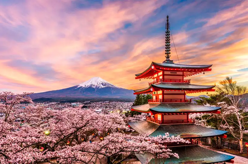viajaya japon